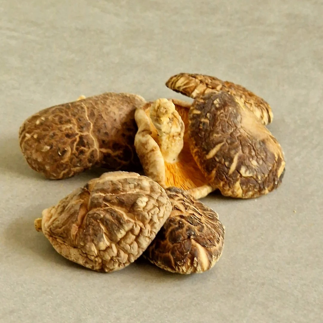 Champignons shiitaké séchés entiers - 80g - Image 3